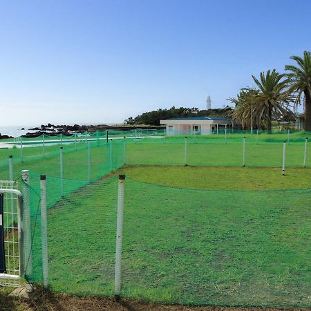 Shirahama Ocean Resort Тіба Екстер'єр фото